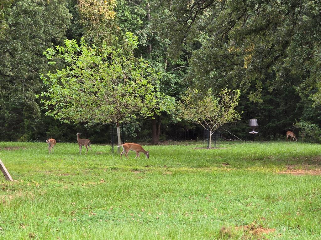 Sanders - Residential