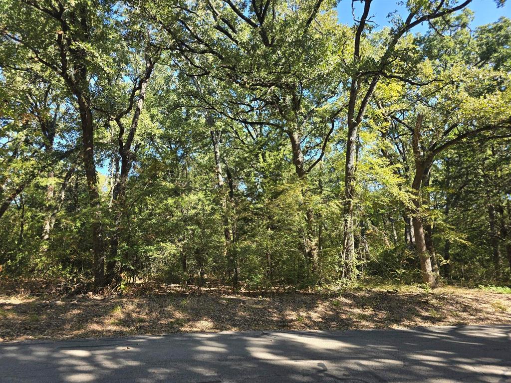 LOT 85 Quail Run Road