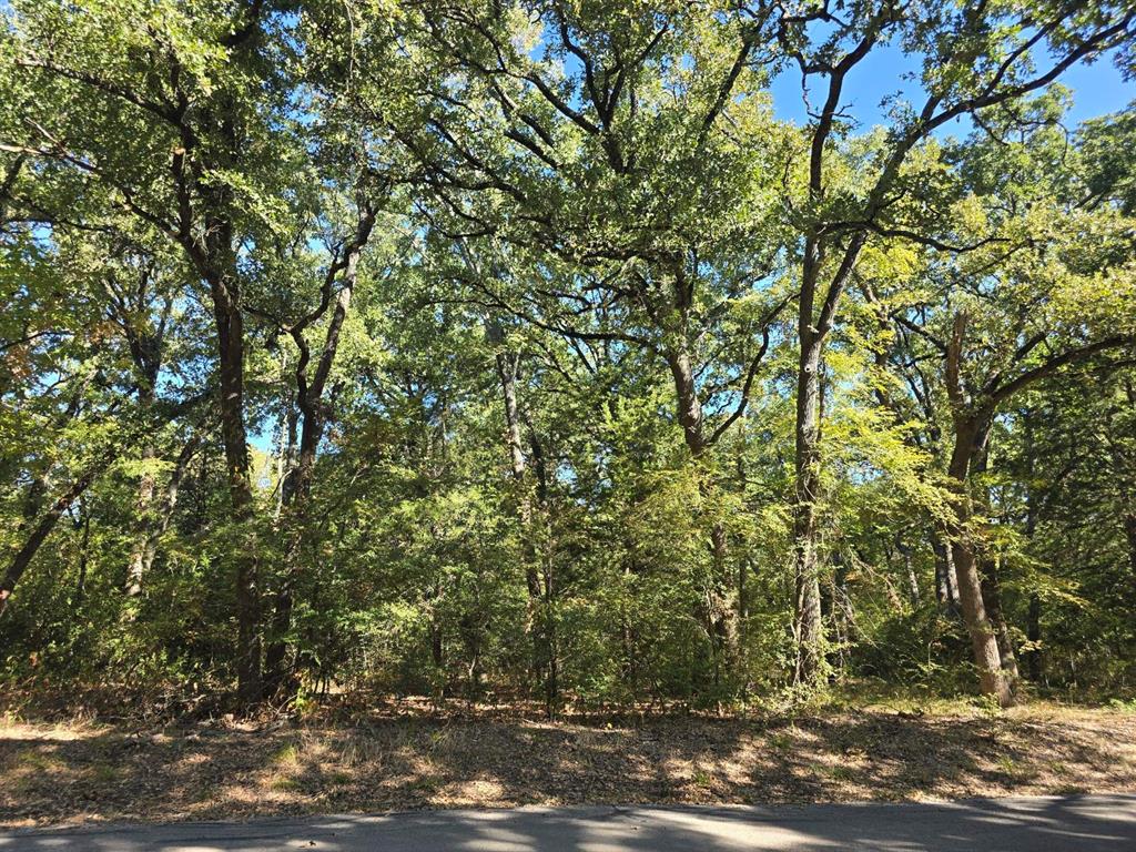 LOT 85 Quail Run Road