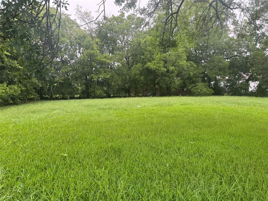 Don’t miss this fantastic opportunity to own a 0.197-acre corner lot in a developed and growing area of Greenville, TX. With road frontage on both Wright Street and Polk Street, this spacious lot offers flexibility for your build and easy access for future homeowners or tenants.

Located in an established neighborhood and just minutes from shopping, dining, and local amenities, this property is ideal for your next residential or investment project. Utilities are available, and surrounding homes make for a seamless development process.

Take advantage of this prime location and envision the possibilities!