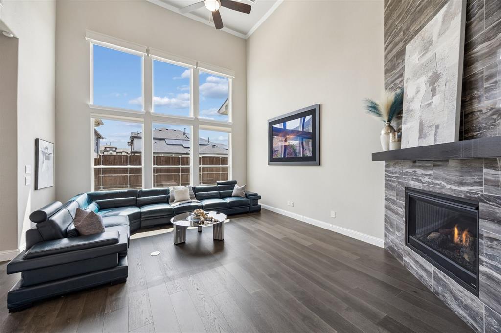 13393 Determine Drive