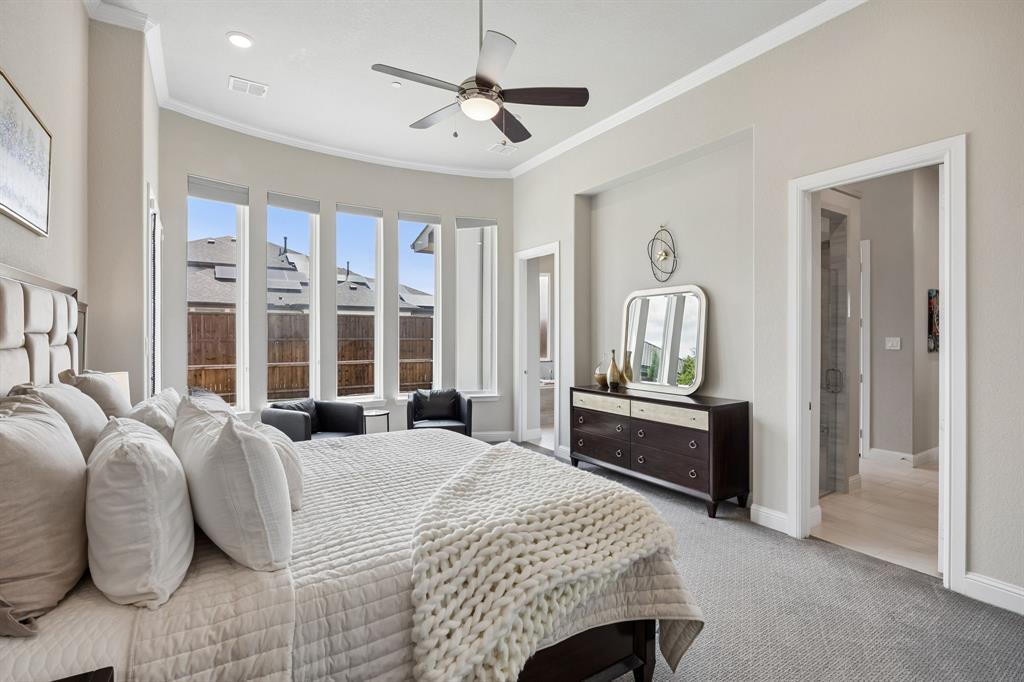 13393 Determine Drive