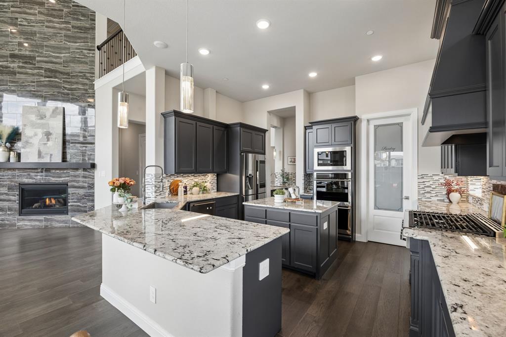 13393 Determine Drive