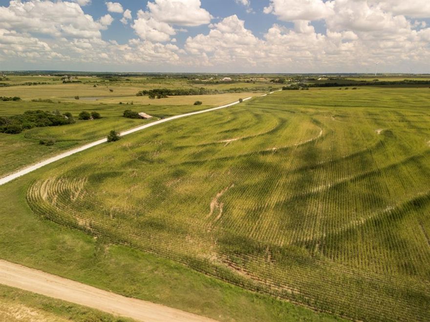 This 11-acre tract delivers open countryside living with convenient proximity to Hubbard, Hillsboro, and Waco. Featuring rolling pastureland, tree-lined edges, and wide Texas skies, it provides a versatile setting for ranching, recreation, or building your custom home. With no deed restrictions, the property is ready for your vision, whether that’s a barndominium, small farm, or weekend escape. Its location combines the quiet of rural life with easy access to shopping, dining, and major highways, offering both opportunity and convenience. Photos are of entire property.