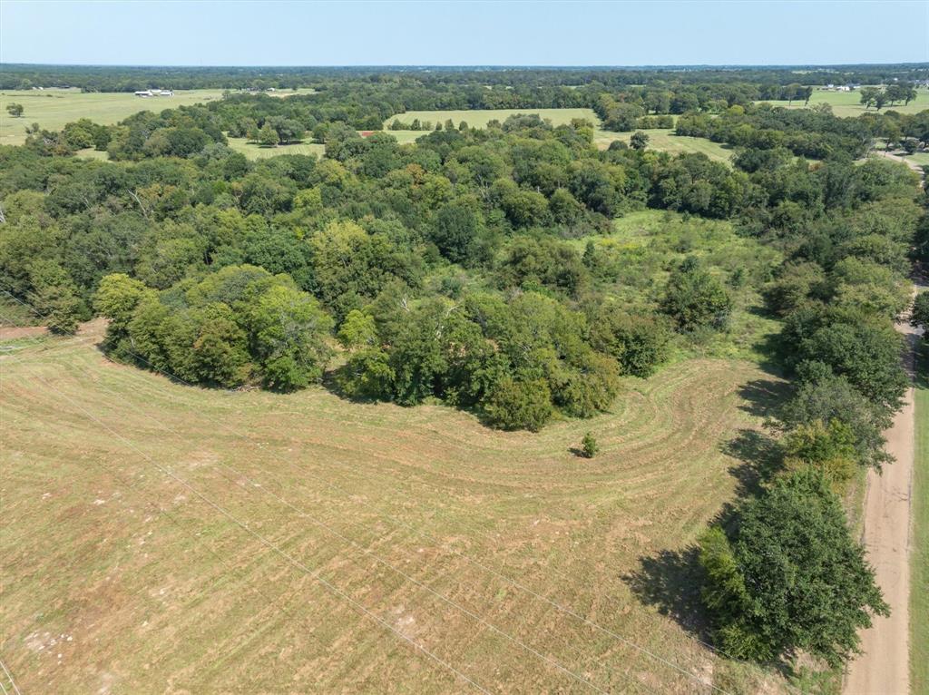 Thomas Mills Surv Abs #550 - Land