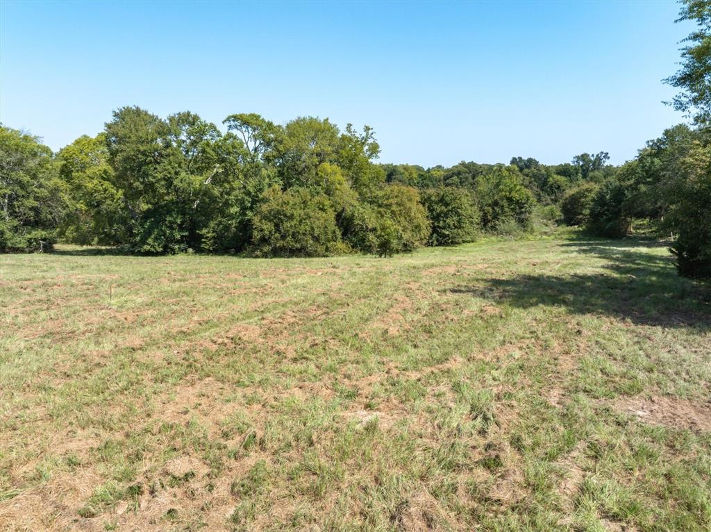 Thomas Mills Surv Abs #550 - Land