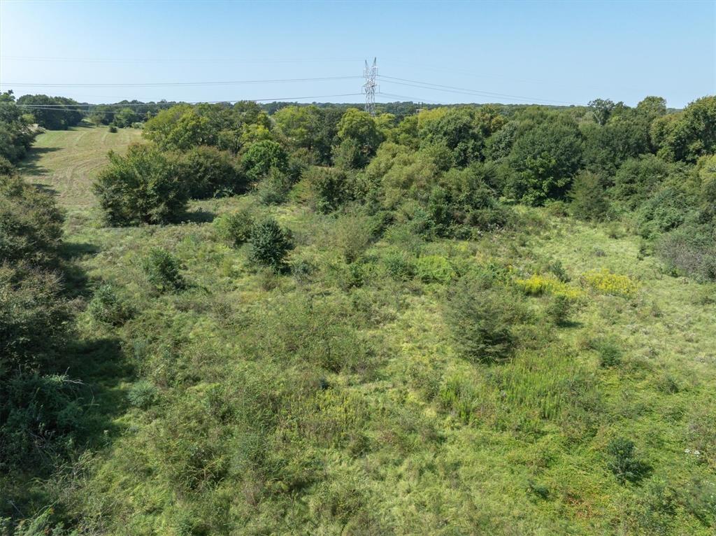 Thomas Mills Surv Abs #550 - Land