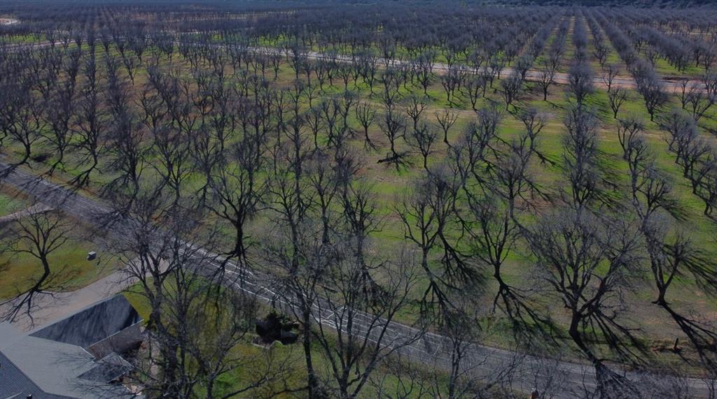 Pecan Plantation - Land