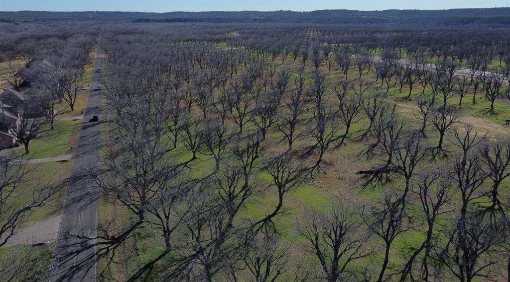 Pecan Plantation - Land