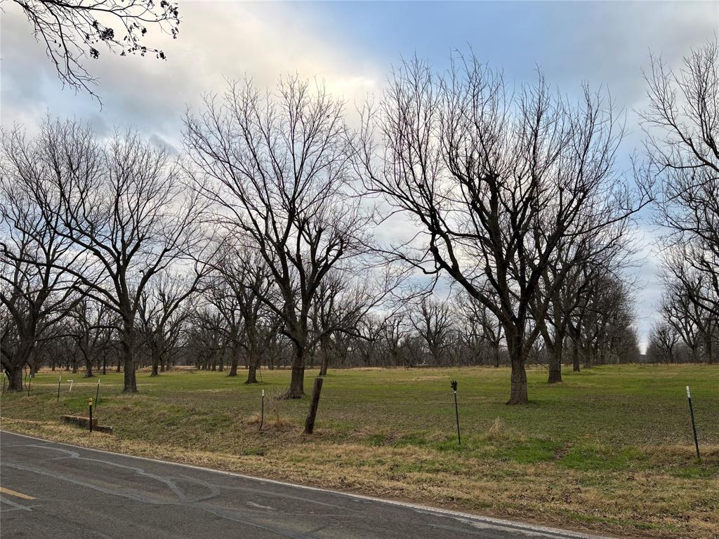 Pecan Plantation - Land