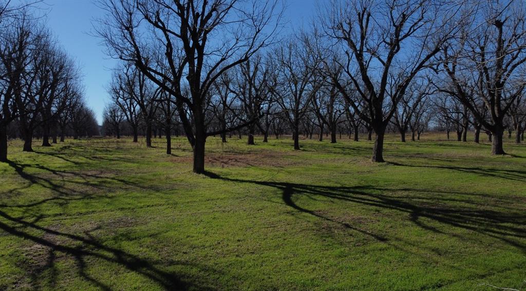 Pecan Plantation - Land