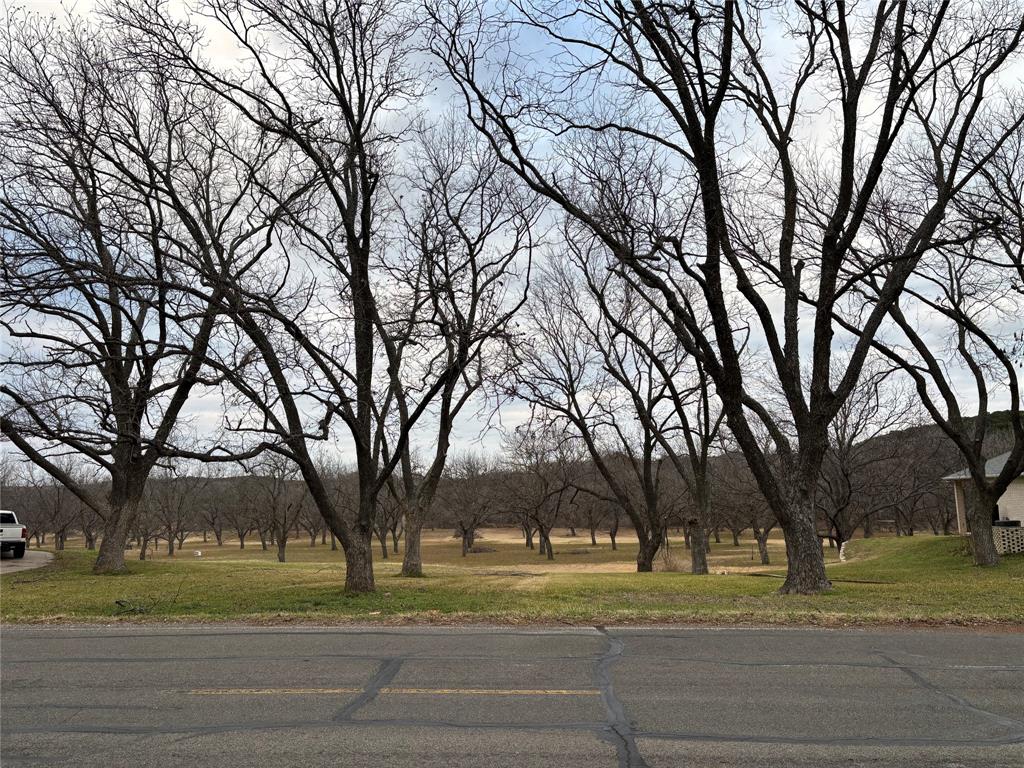 Pecan Plantation - Land