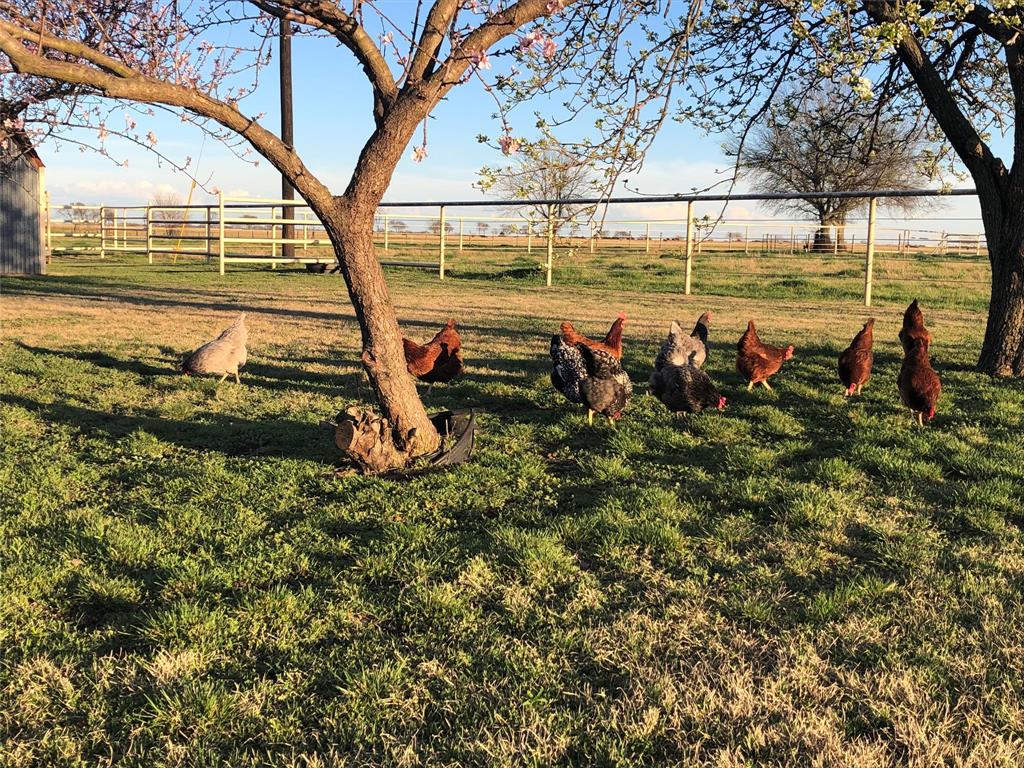 20967 Farm Market 121