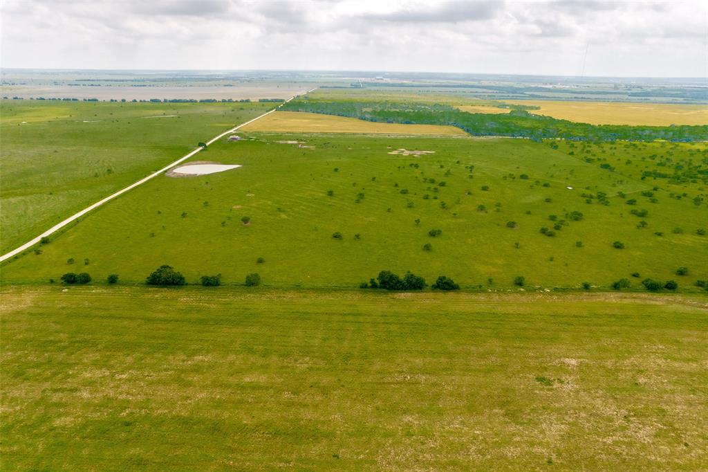 G-1079 SHOTO SARAH A-G1079 - Farm