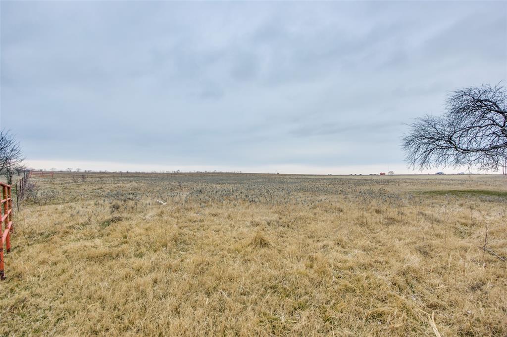 G-1079 SHOTO SARAH A-G1079 - Farm