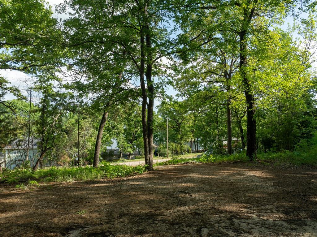 Hickory Hills - Land