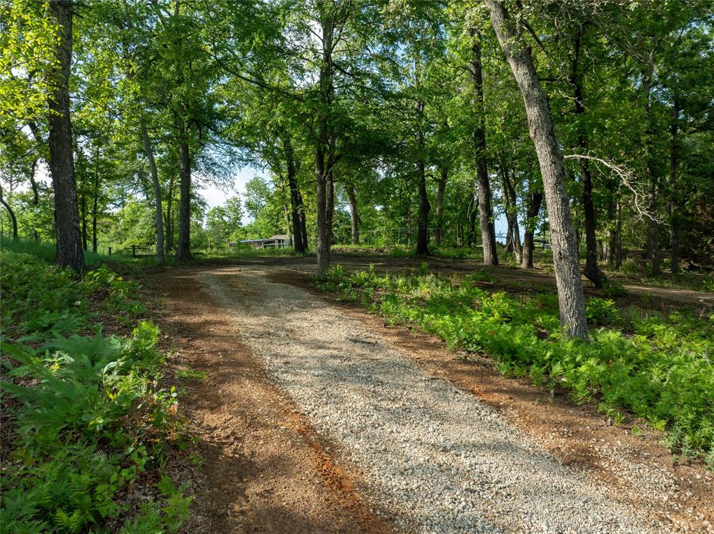 Hickory Hills - Land