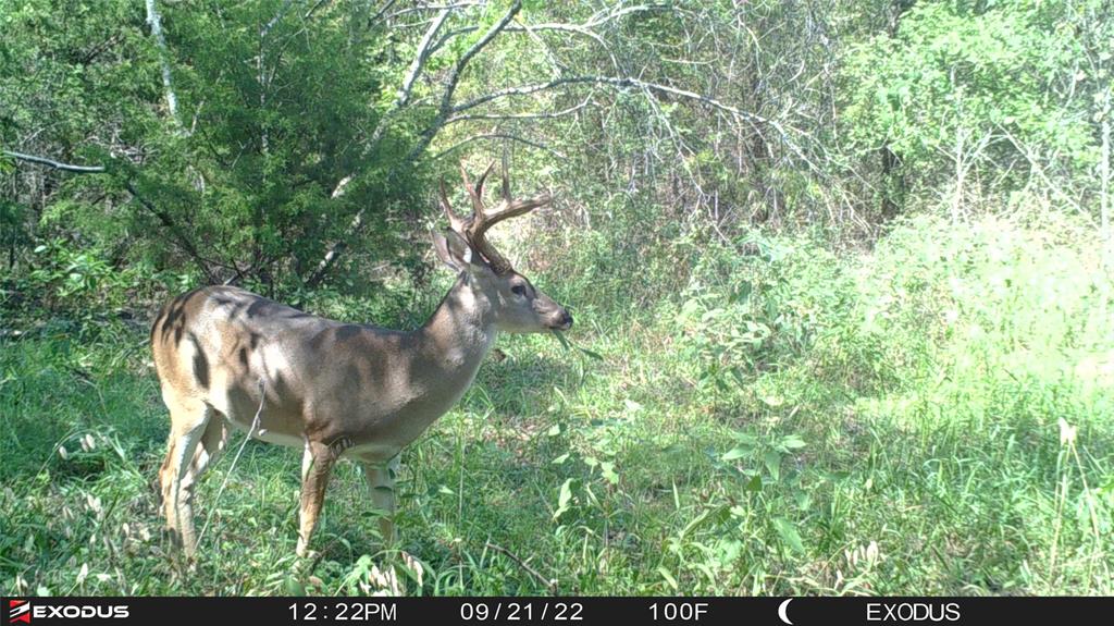 3324 County Road 3206