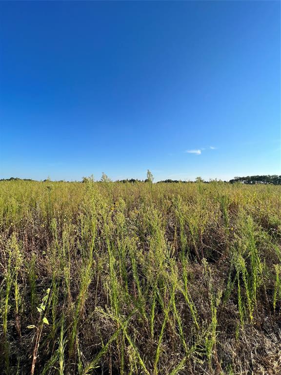 TBD County Road 470