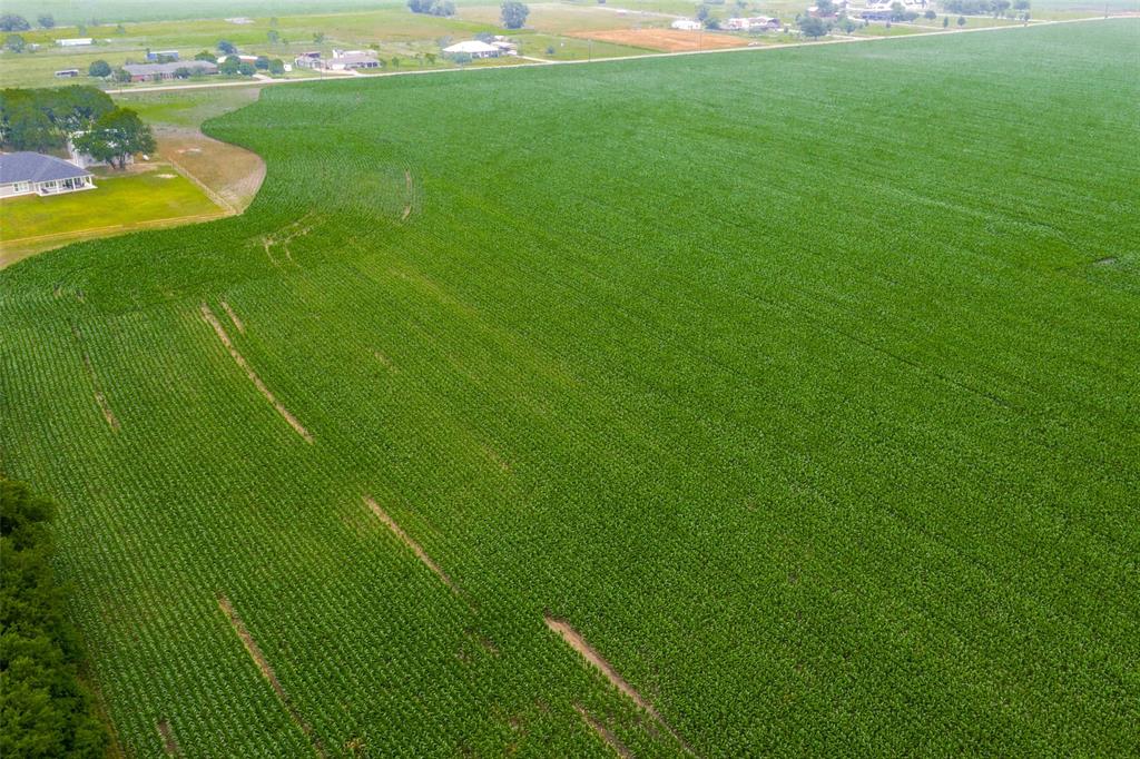 He Ramon Rubio Surv Abs # 997 - Residential