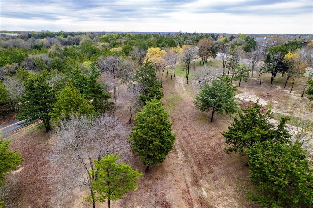 ABS A0233 JOHN CHALMERS SURVEY, SHEET 2, TRAC - Land