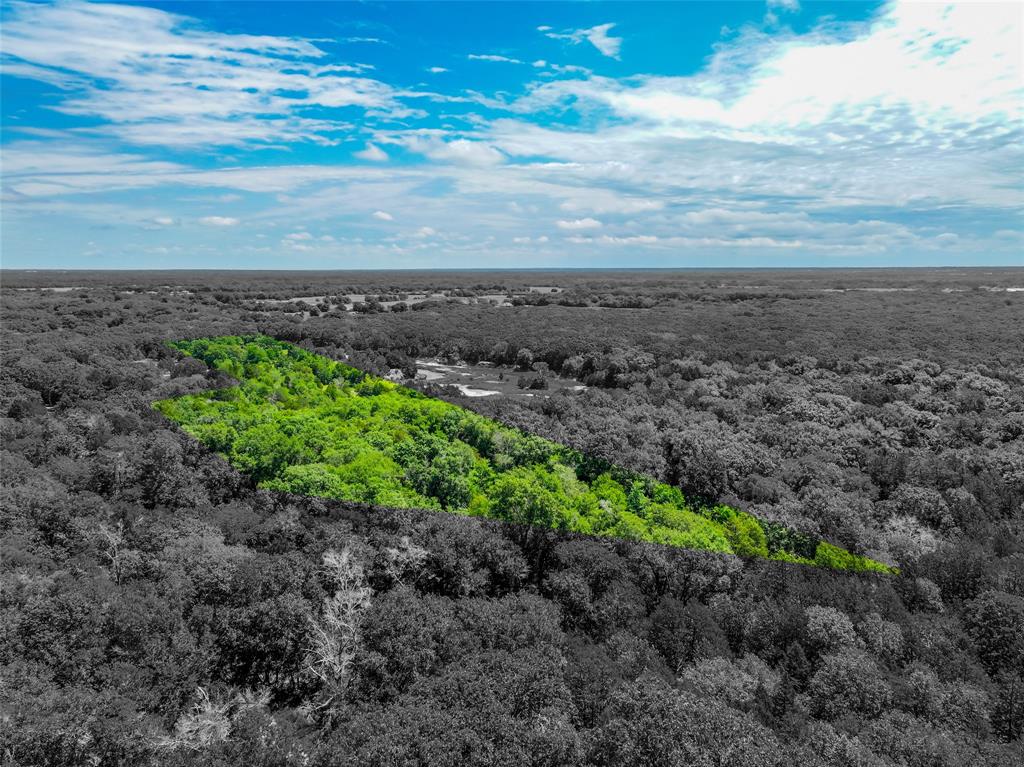 Ashmore Bailey Tr 12 - Commercial Sale