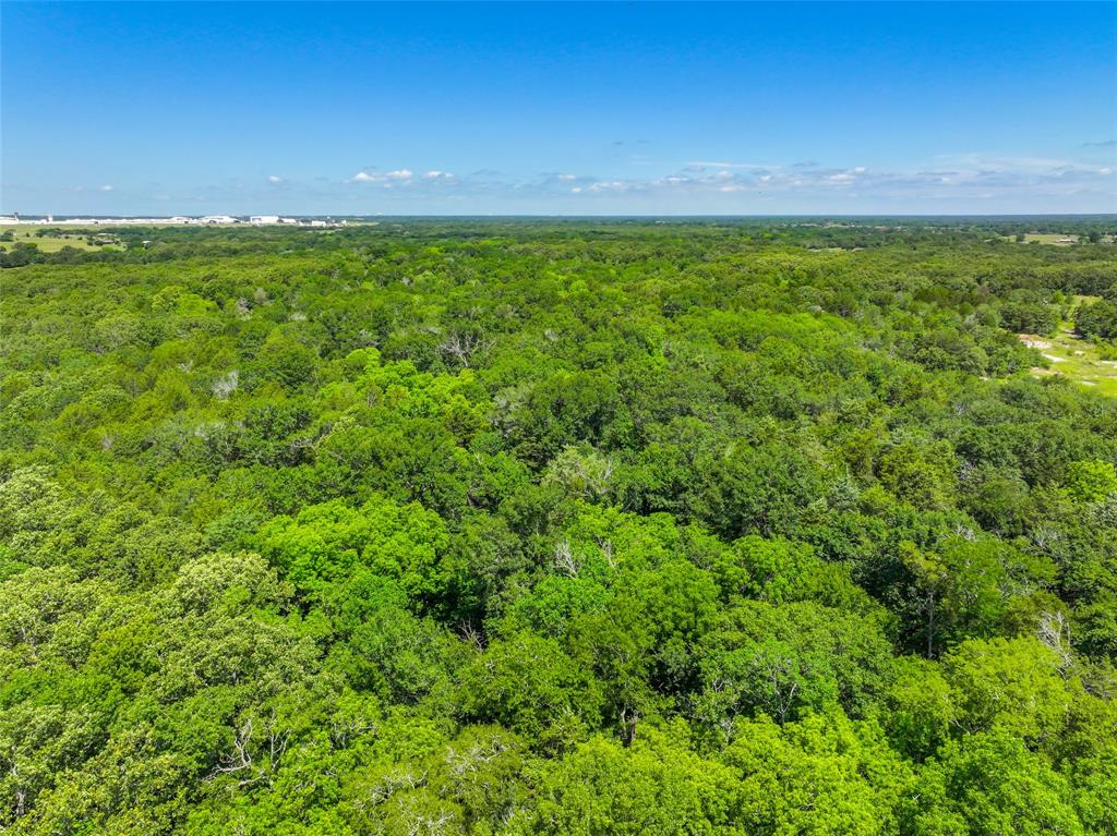 Ashmore Bailey Tr 12 - Commercial Sale