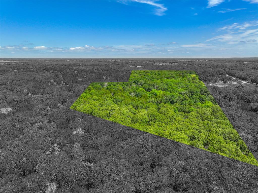 Ashmore Bailey Tr 12 - Commercial Sale