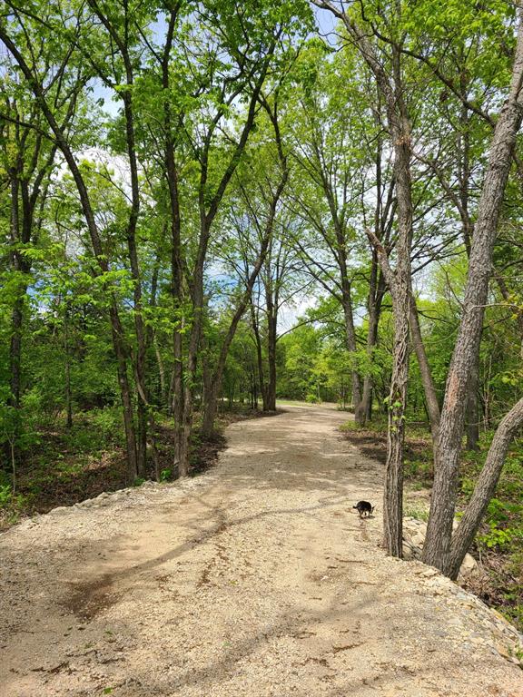 Freeland Kyle - Land