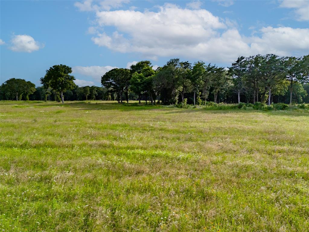 SHORES AT THE PENINSULA - Land