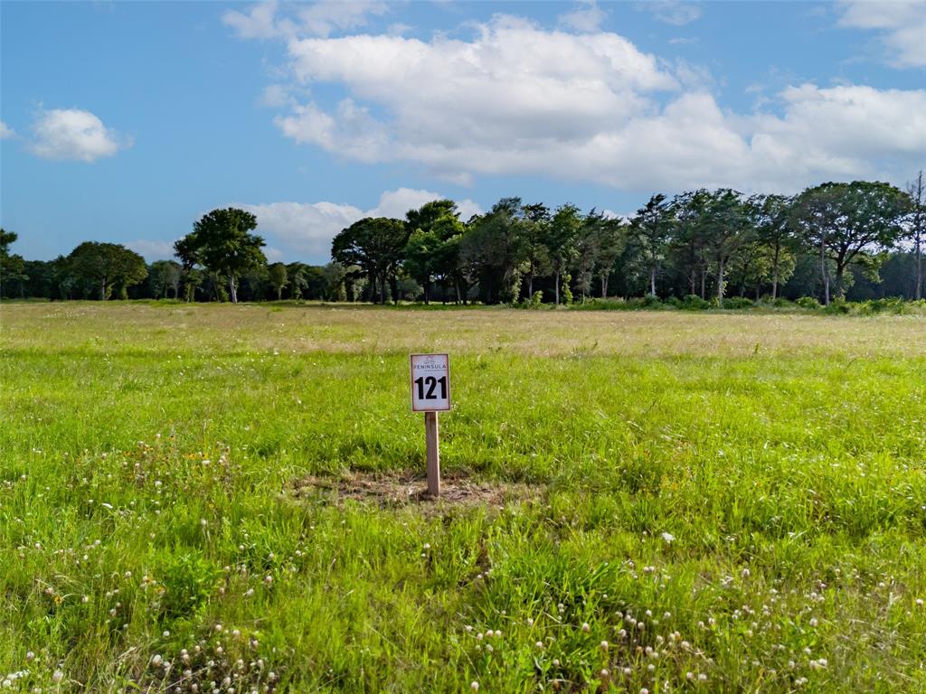 SHORES AT THE PENINSULA - Land