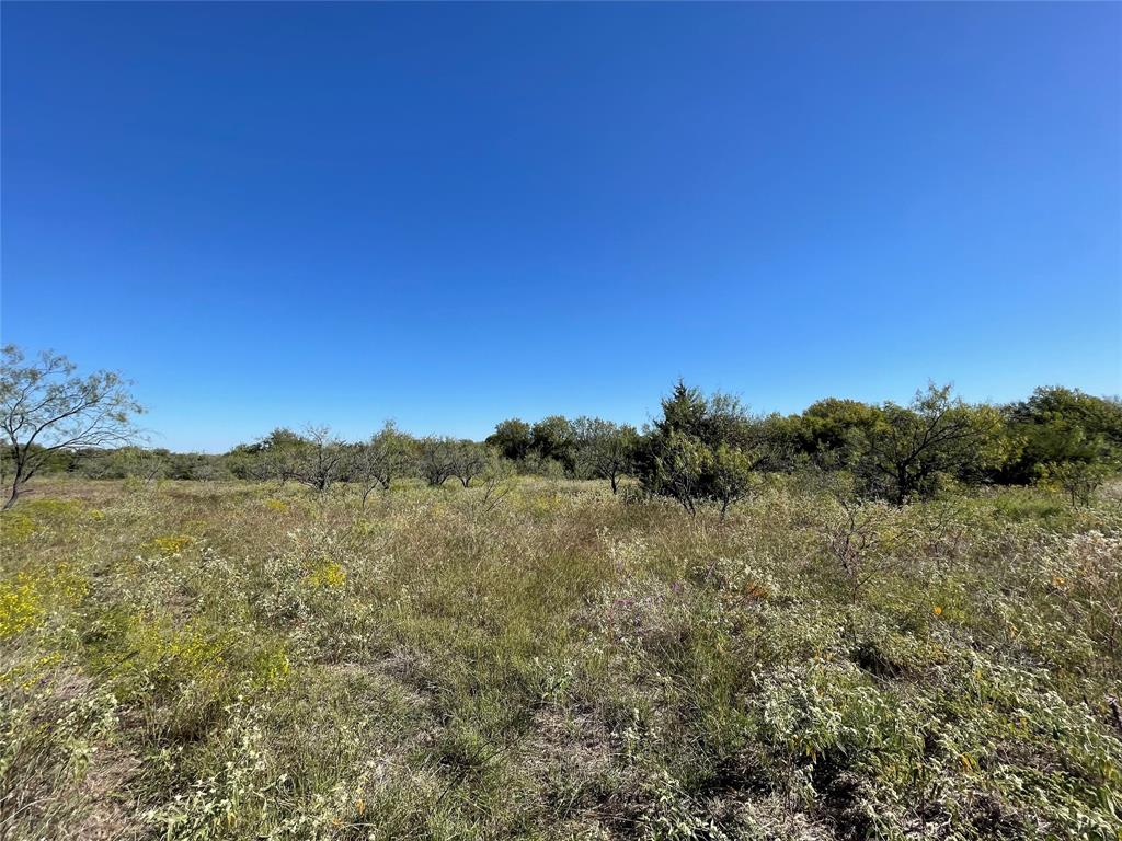 TBD Lot 11 FM 339