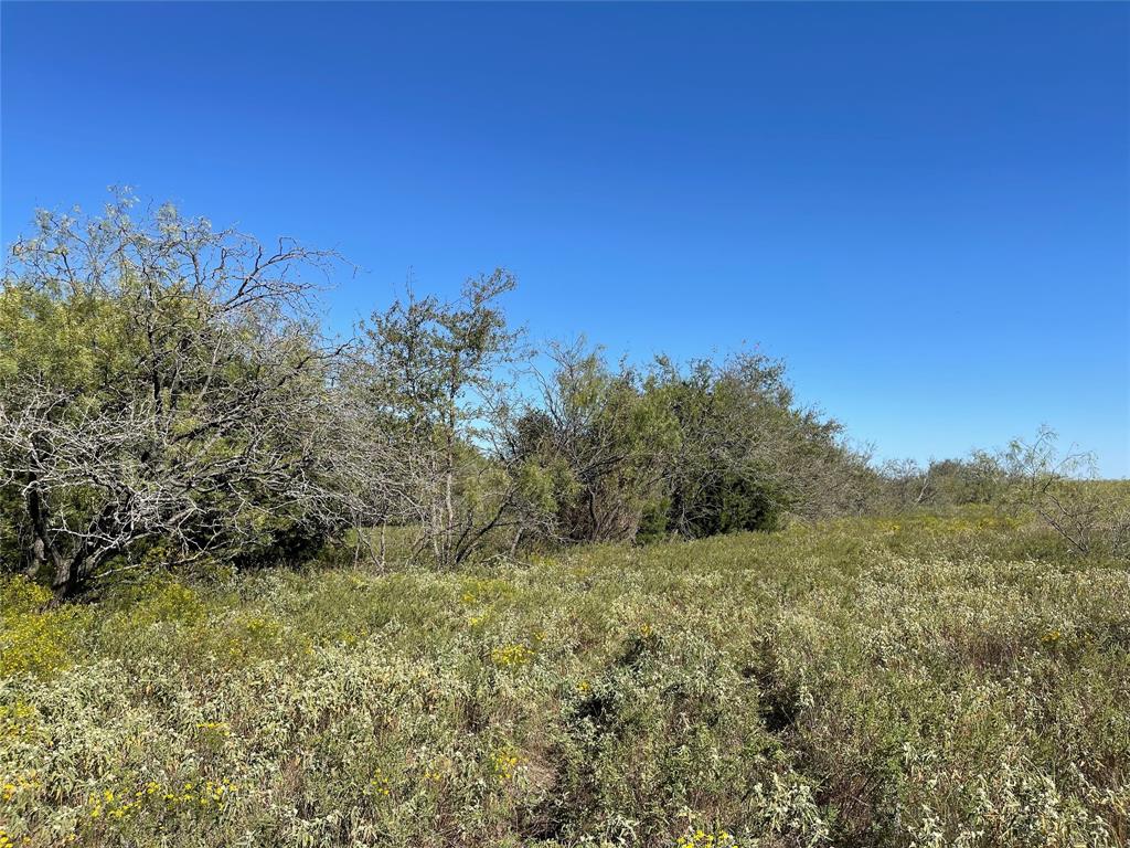 TBD Lot 11 FM 339