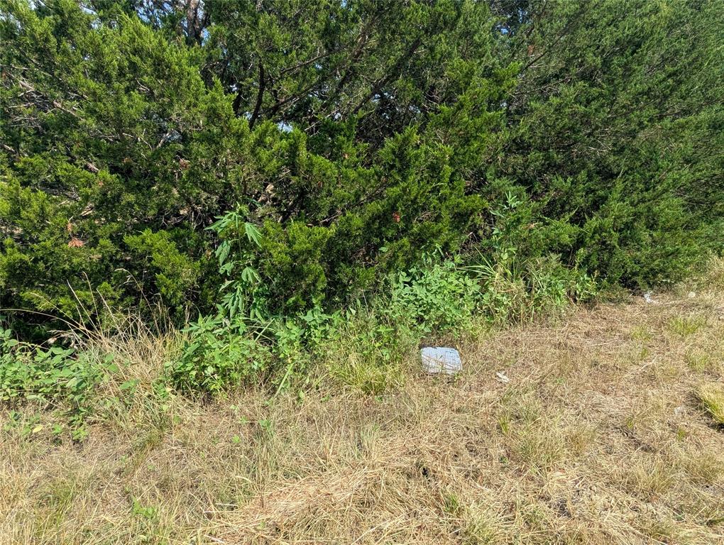 A0163 BENJAMIN CLARK SURVEY - Land