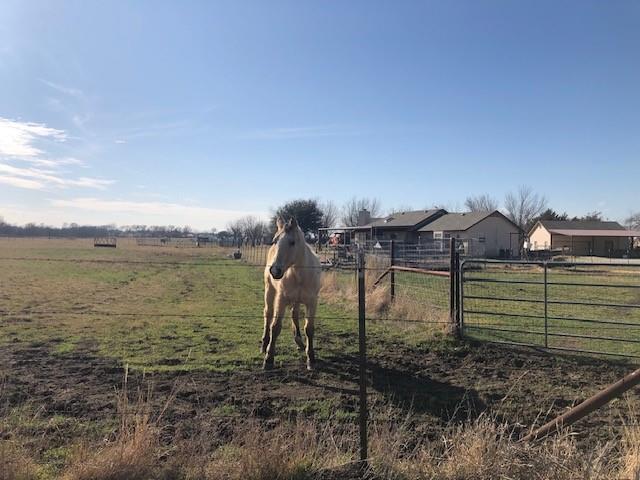 9061 Crow Wright Road