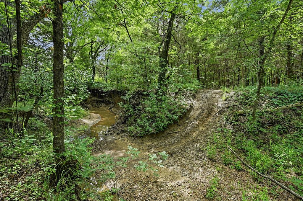 TBD Ranch Road