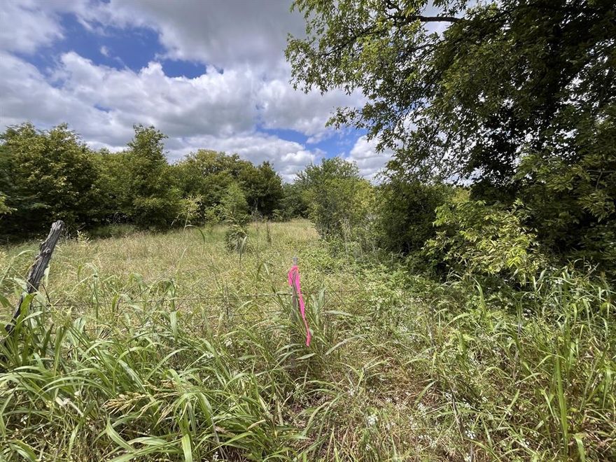 This beautiful piece of Texas acreage is located right on the Ellis and Hill county line. 
Barely an hour from DFW, 15 min to Hillsboro and 45
Min to Waco!  It is situated on beautiful county Rd but only 5 min to 35E.
There is a great blend of fields, woods, and a seasonal creek that runs through the property. 
Over 3500+ ft of road frontage make this a great investment for present or future development potential. 
Whether you are looking for a ranch, private estate, development or recreational property this one has it. 
Come and see.  Will subdivide to meet your desired size, or you can buy the entire 70 acres! 
No mineral rights transfer.