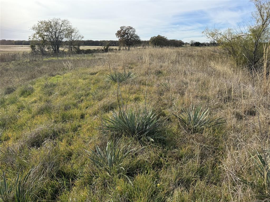 TBD -A Fm 1655
