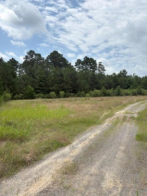 TBD COUNTY ROAD 425, TENAHA, TX 75974 - Image 7ddfc330900e1d262aed616d9bcca521/2816785493