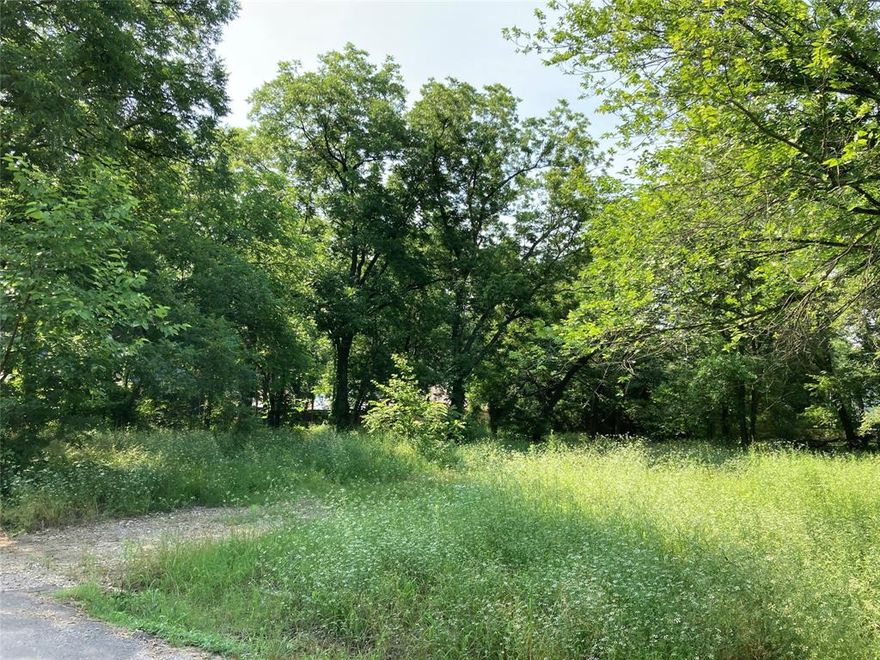 This lot presents a valuable opportunity for a builder to construct two homes on nearly half an acre in the city. With a prime location just off SH-56 near historic downtown Bonham, this neighborhood features several new properties under construction. The dimensions of the lot are 120' x 169', giving it ample space to build two residences. The lot also features several mature trees that could be left to seamlessly integrate new construction into this historic area. With easy access to both SH-121 and US-82, this property is ready for development!