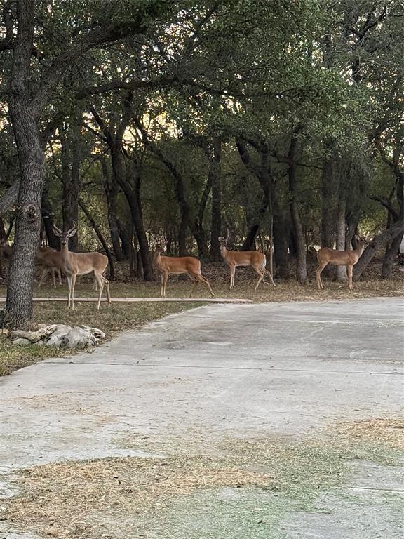 Oak Ridge Estates Ph II - Residential