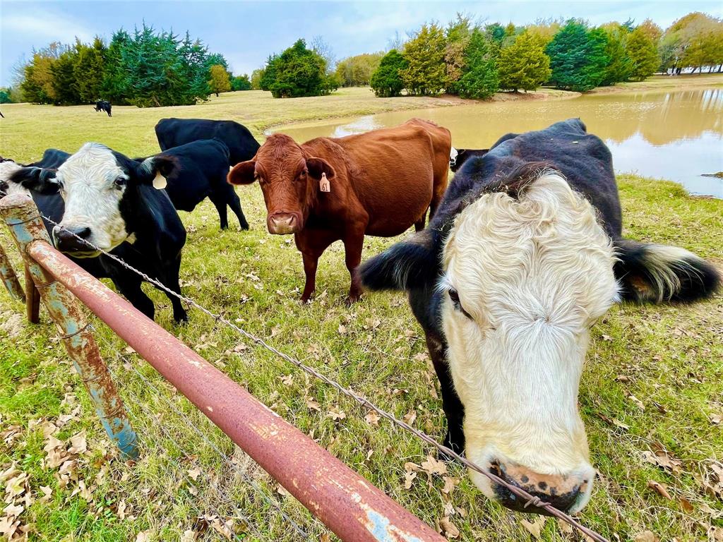 Brickyard Country - Residential