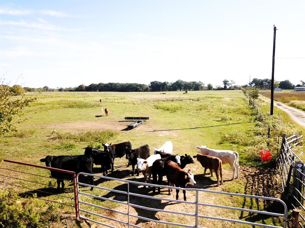 TBD Vz County Road 2512