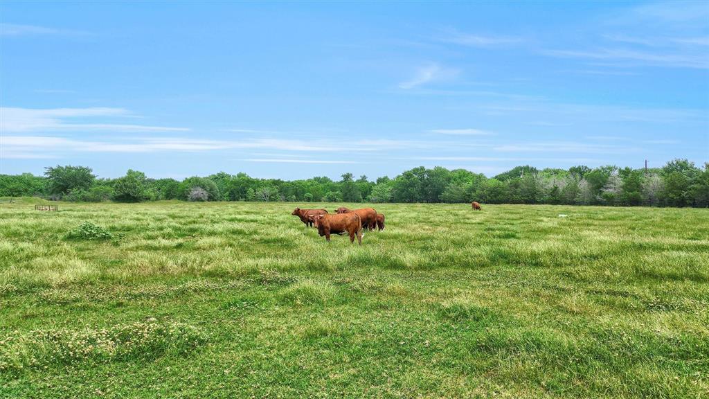 I Walters - Commercial Sale