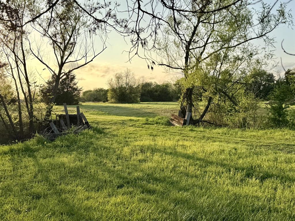 000 TBD County Road 4870 6+- Acres