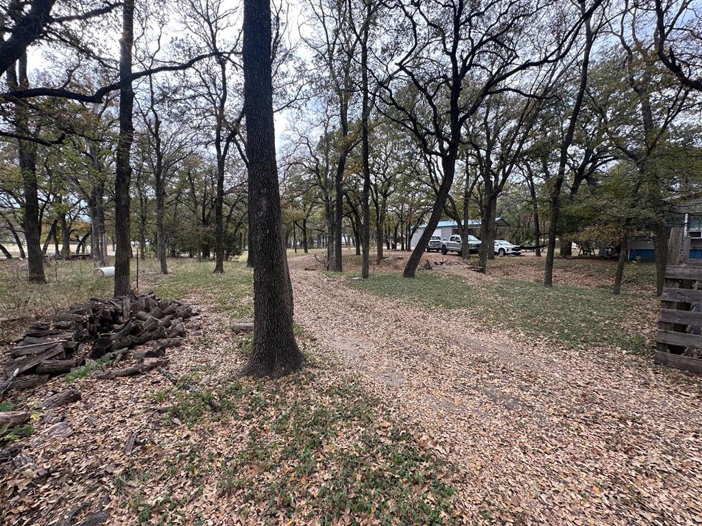 Oak Accorn - Residential