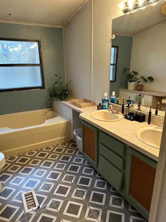 Oak Accorn - Residential