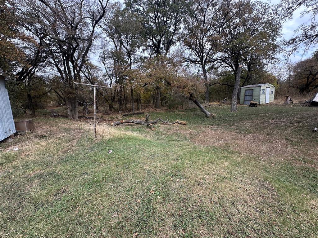 Oak Accorn - Residential