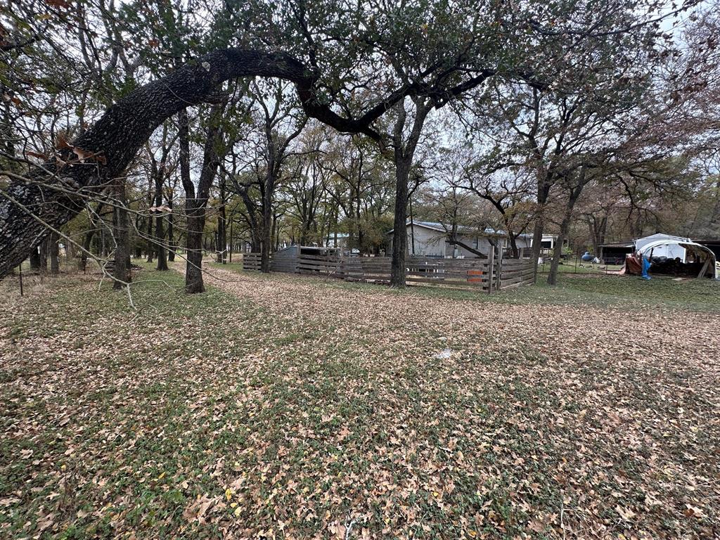 Oak Accorn - Residential