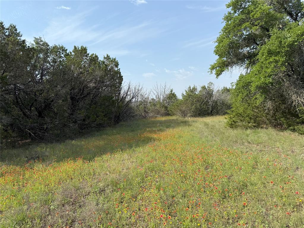 TBD 2010 Lot 2